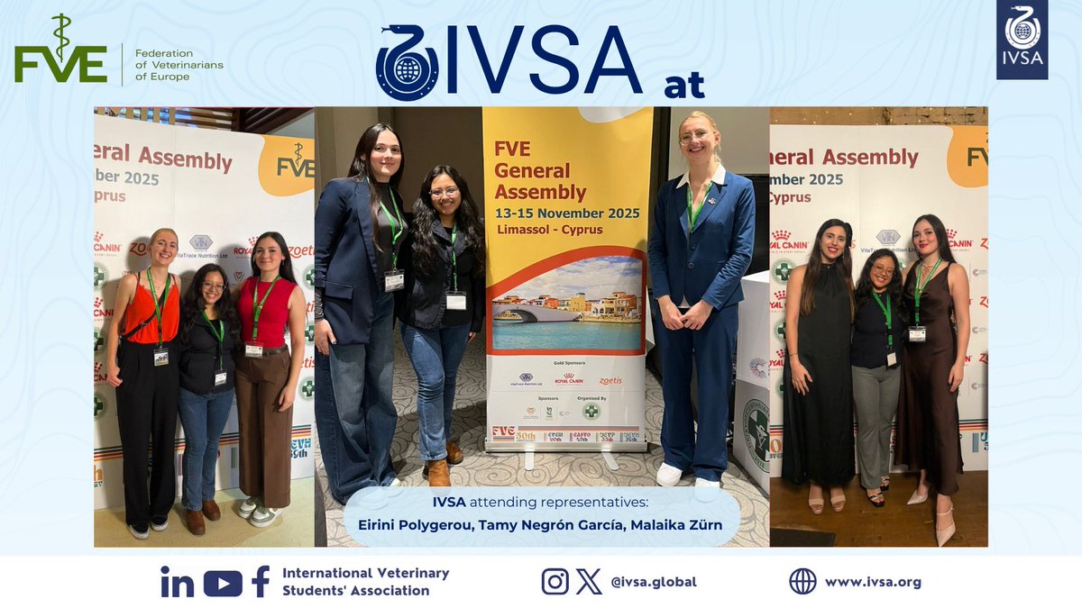 IVSA GLOBAL tweet media