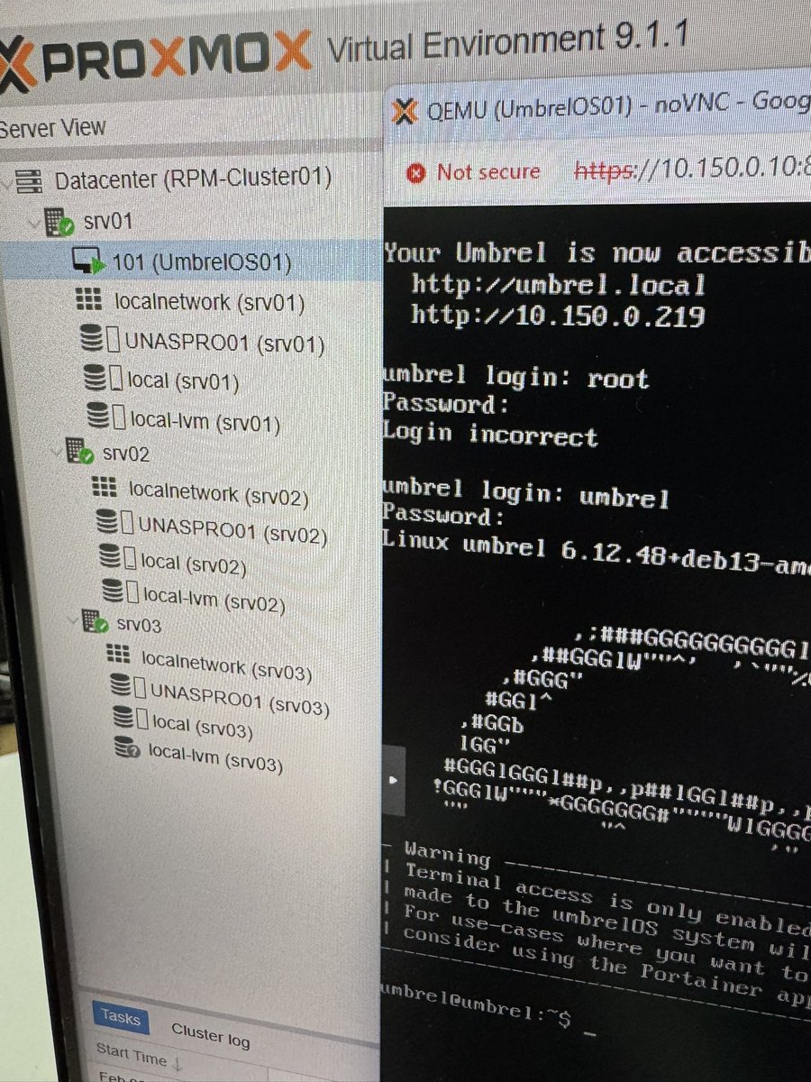 Red Panda Mining tweet media
