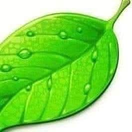 ~
ومن رجع  خوفا من العذاب   ،،،، فهو  "تائب "  

ومن رجع حياءا  ،،، فهو " منيب"  

ومن رجع تعظيما   ،،، فهو  "أواب"  

جعلنى الله وكل من أحب وأمة سيدنا محمد صل الله عليه وسلم  من التوابين  ،، المنيبين  ،، الأوابين .....