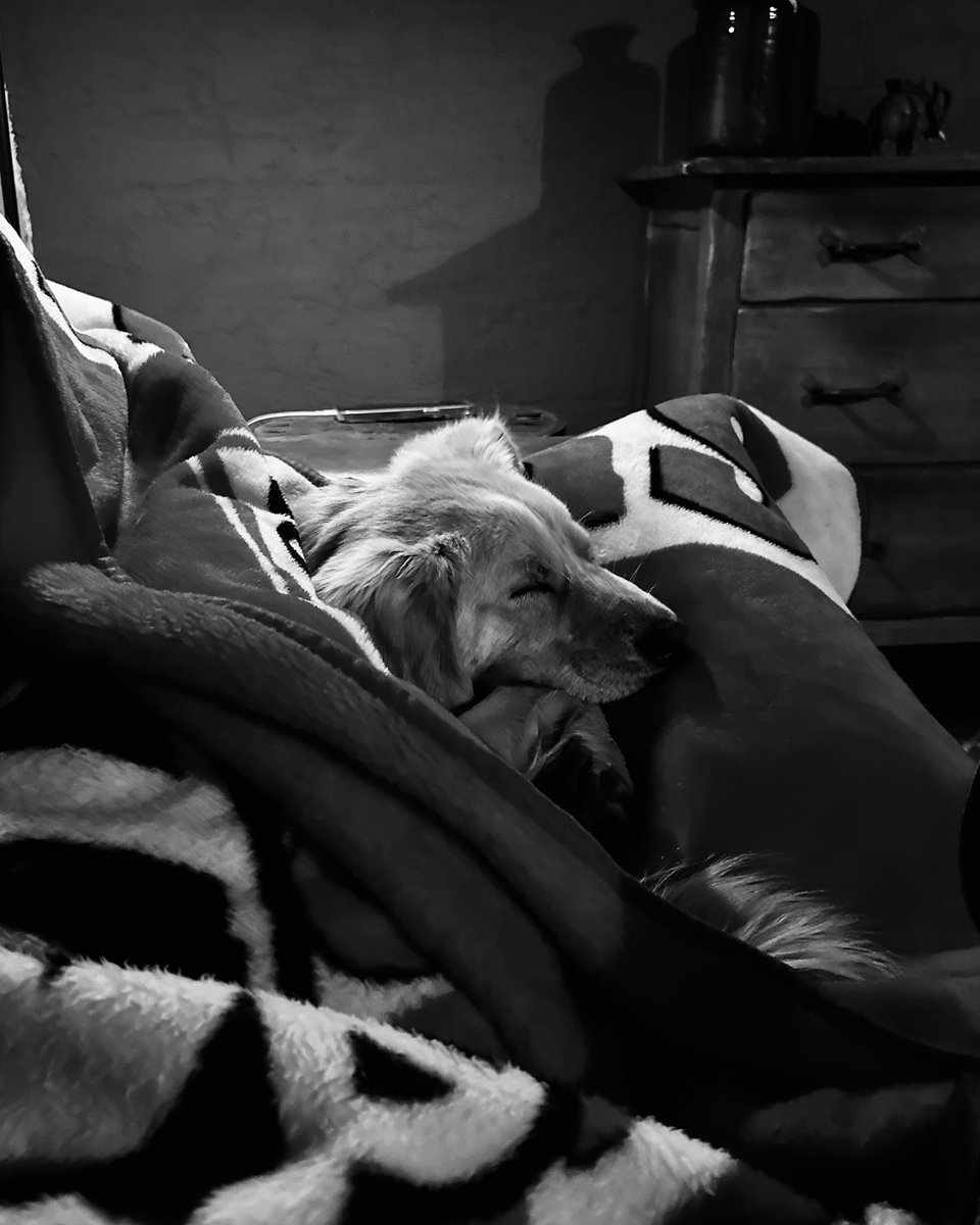 Nothing better! #mansbestfriend 
#doglovers #dogs