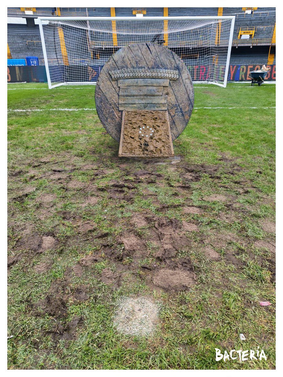 Les quedo muy bonita la cancha .<a href="/SenciaBogota/">Sencia</a>