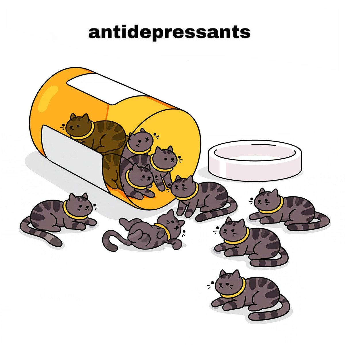 burnt toast tweet media