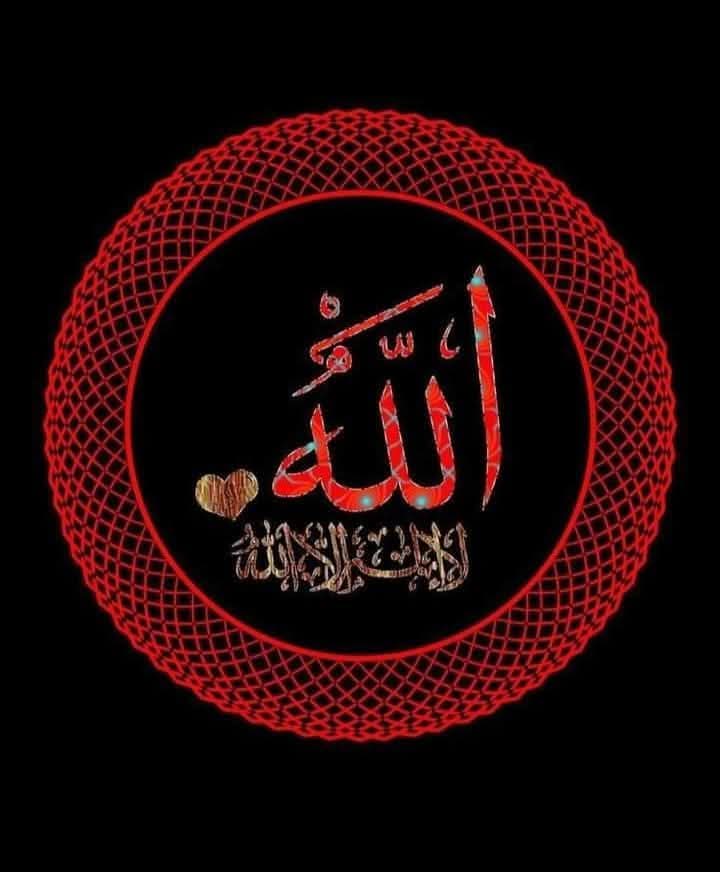 ~
ربي لا نحصي ثناءا  عليك كما اثنيت  أنت على نفسك سبحانك .

. لك الحمد من قاع الفؤاد  ..♥️

. إلى عرشك المقدس ..

حمدا يوافي نعمك