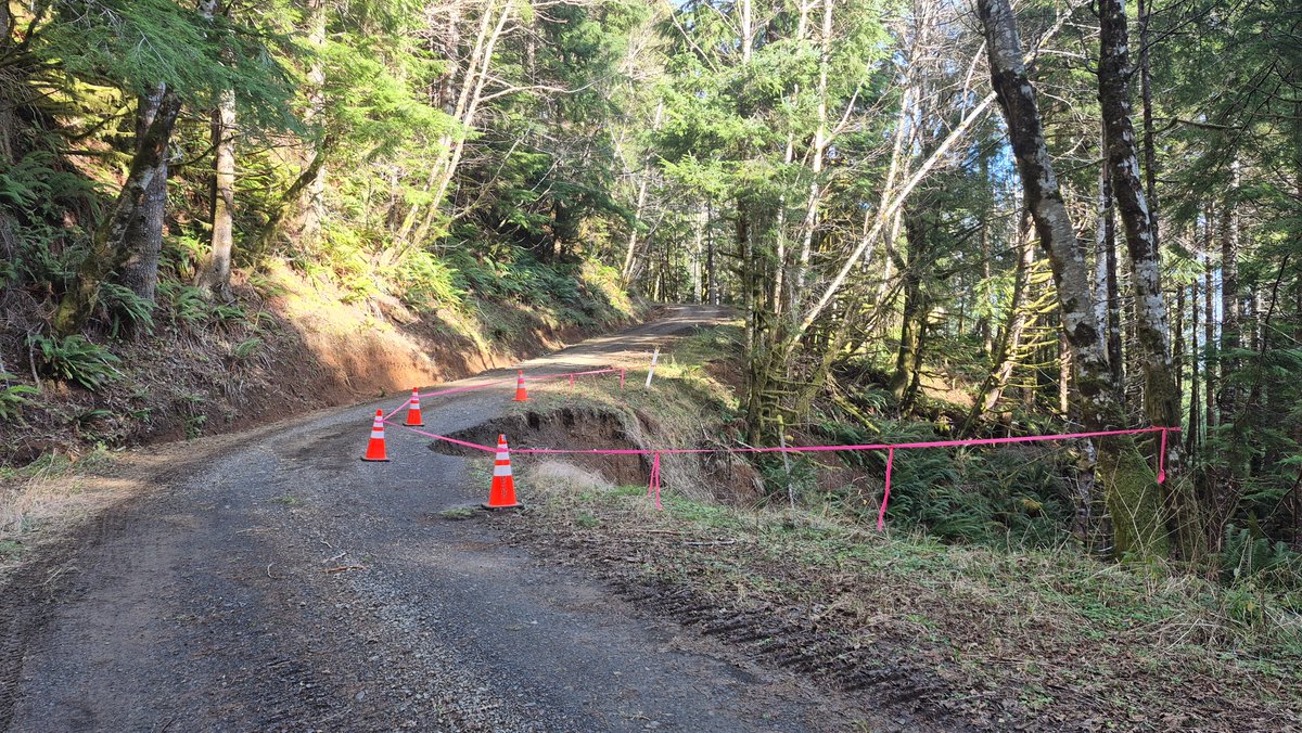 Siuslaw Nat'l Forest tweet media