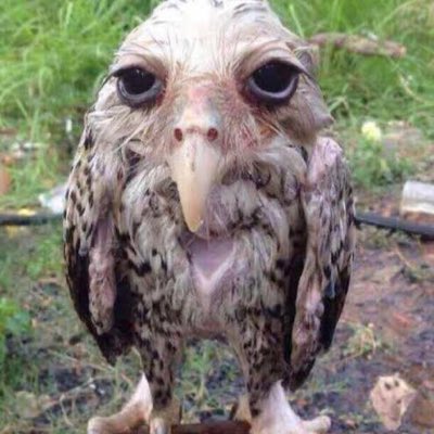 toqeium's tweet photo. #NewProfilePic https://t.co/9CsxPKM1rh
