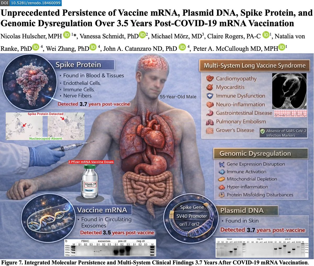 P_McCulloughMD's tweet image. BREAKING: Vaccine mRNA, Plasmid DNA, and Spike Protein Can Persist in Humans More Than 3.5 Years After COVID-19 Vaccination

We report the longest documented persistence of mRNA vaccine components to date, independently confirmed across multiple laboratories, biospecimens, and…