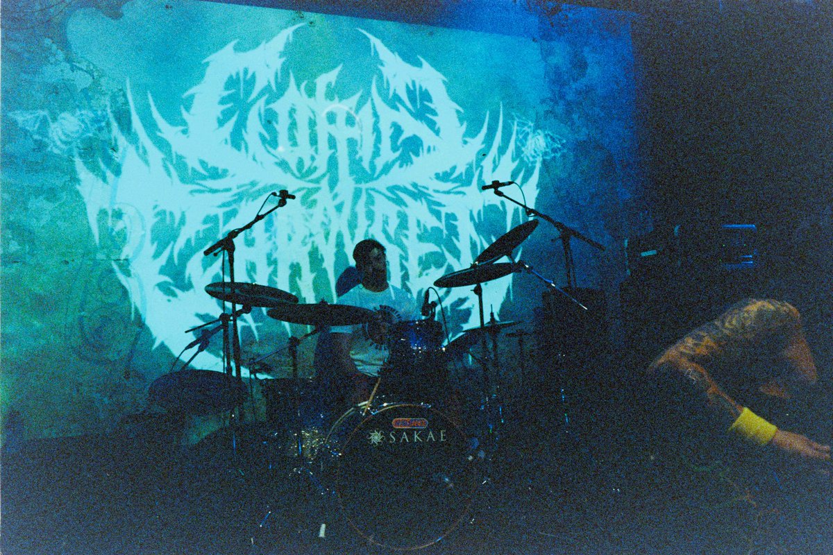 HM2 Horror Sludge tweet media