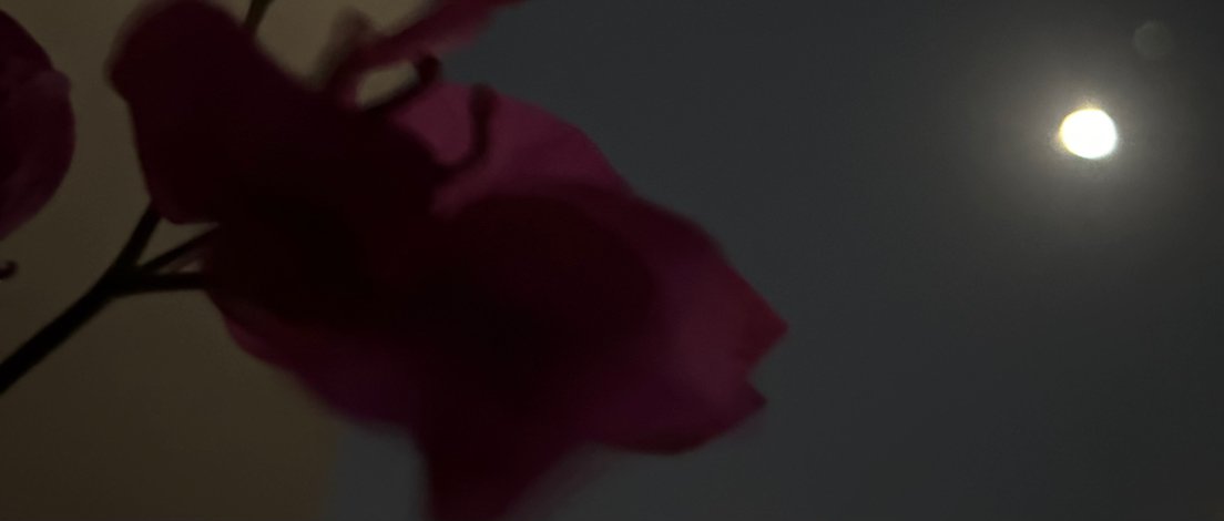 ماهقيت ان القمر 🪐
           مثله  قمر !!!!  🎼