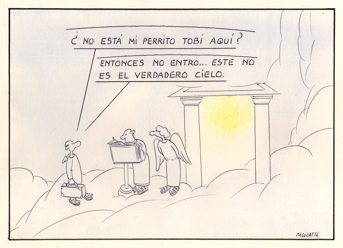 Paco Catalán. tweet media