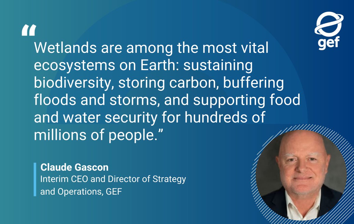 Happy #WorldWetlandsDay!  Traditional knowledge has long guided the sustainable use of wetlands. As the Convention on Wetlands marks 55 years, #WorldWetlandsDay2026 calls on us to protect wetlands and honour cultural heritage.
thegef.org/newsroom/news/…
#WWD2026 #CelebratingWetlands