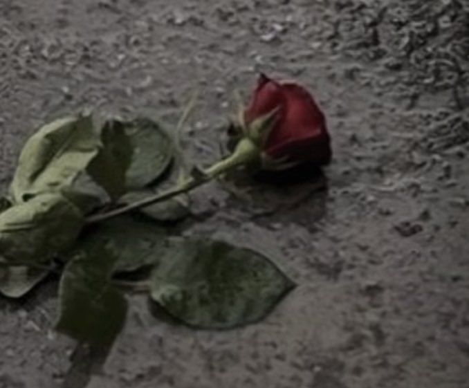 #اقول
لا يعنيني شعورك العظيم الذي تكنه لي 
إن كنت تتصرف معي عكسه تماماً 

🥀