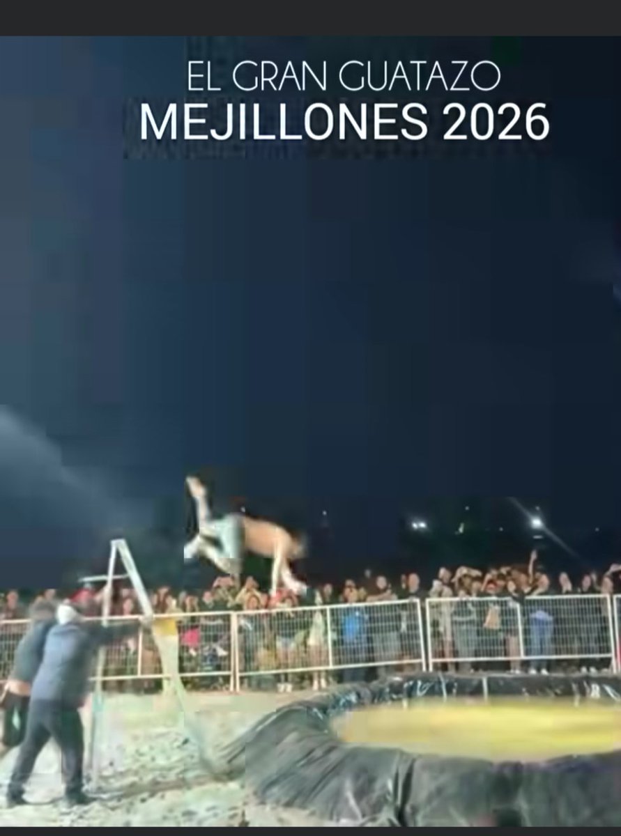 IngenierChile's tweet photo. Pudo haber sido fatal, actividad estúpida  en Mejillones, hombre cae muy mal que tuvieron que asistirlo para sacarlo del agua y que dice el Alcalde y los organizadores??? https://t.co/Ab66vipBMC