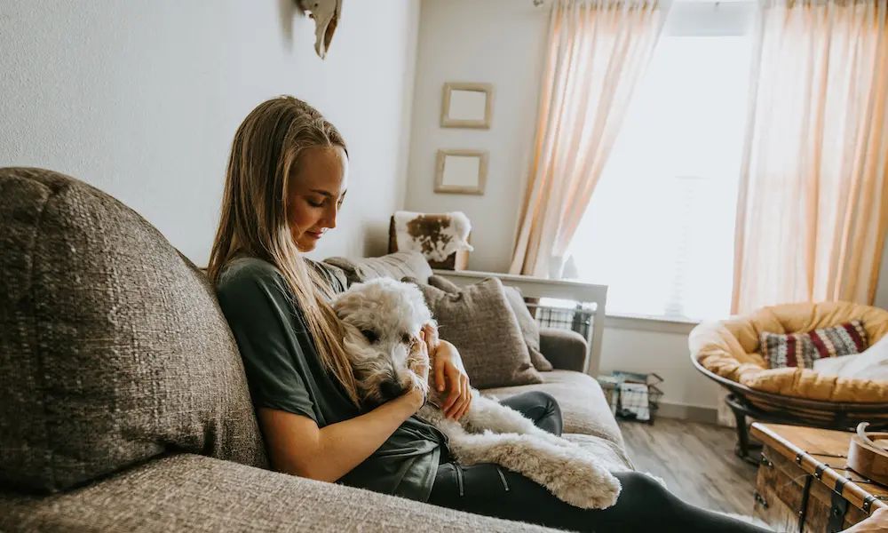 PropertyTalk tweet media