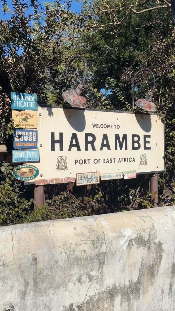 4chipandcompany's tweet image. A classic with a view! 🍔 Bringing it back to basics at the newly reopened Harambe Market with a juicy burger and that signature Frozen Flamingo! 

#harambemarket #softopening #animalkingdom #wdw #disneyeats instagr.am/p/DURcwrAD3J9/