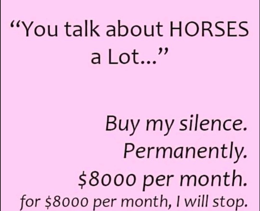 horse tweet media