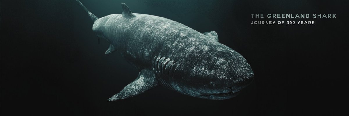 I learned early that survival isn’t loud.
It’s quiet, slow, and stubborn.
While things fell apart,
I kept moving.
That was the difference.