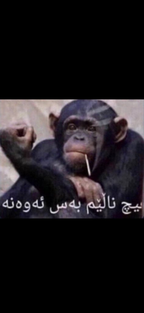 MoRy__229's tweet photo. @Benzema خذ https://t.co/xLiKTnX67U