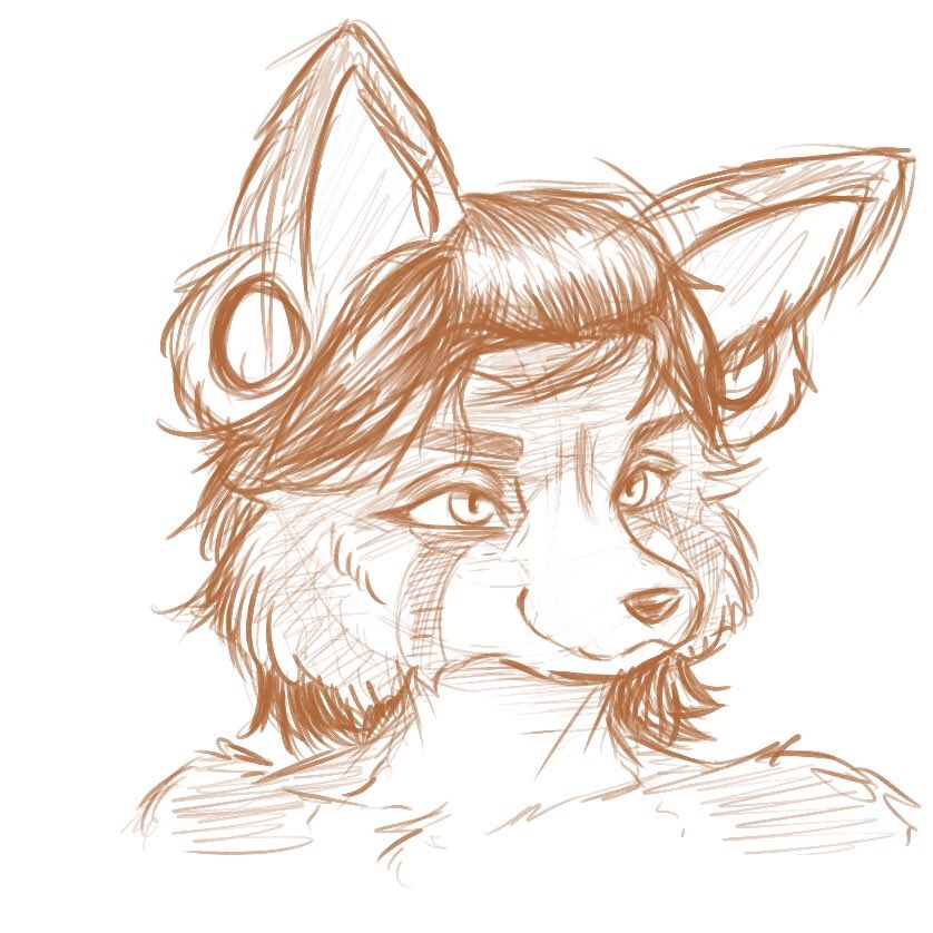 Working on a redesign for my gfs fursona :3

#furry #fursona