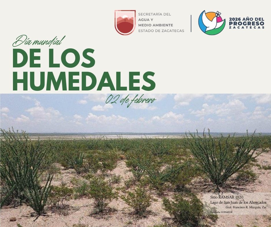 #DíaMundialDeLosHumedales, el lago San Juan de los Ahorcados, ubicado en el municipio de Fco. R. Murguía, es el único sitio de Zacatecas reconocido internacionalmente, caracterizado por ser un refugio crucial de aves migratorias en el semidesierto, considerado sitio RAMSAR.