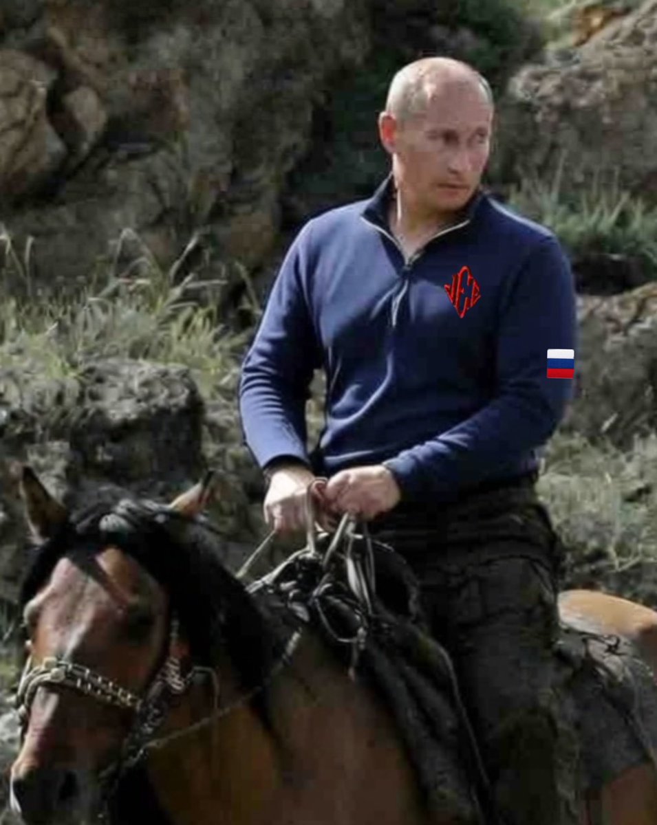 All these ZIGNATS who have been hysterically moralizing over the fact that “White children were pimped and r’d by Jewish pdf Epstein” have a big problem on their hands now that it is revealed the operation was being run on behalf of PUTIN and RUSSIA all along.

The TRS network,