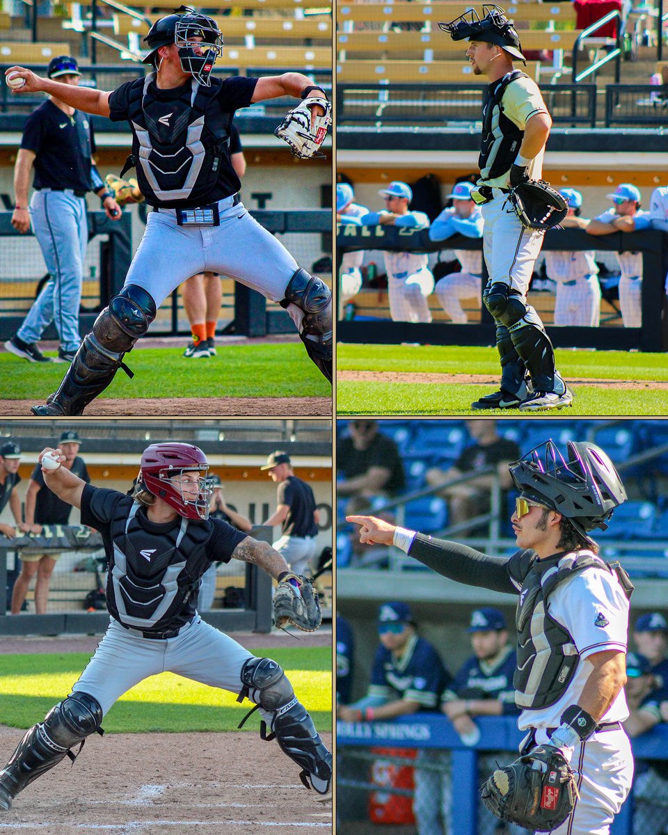 Purdue Baseball tweet media