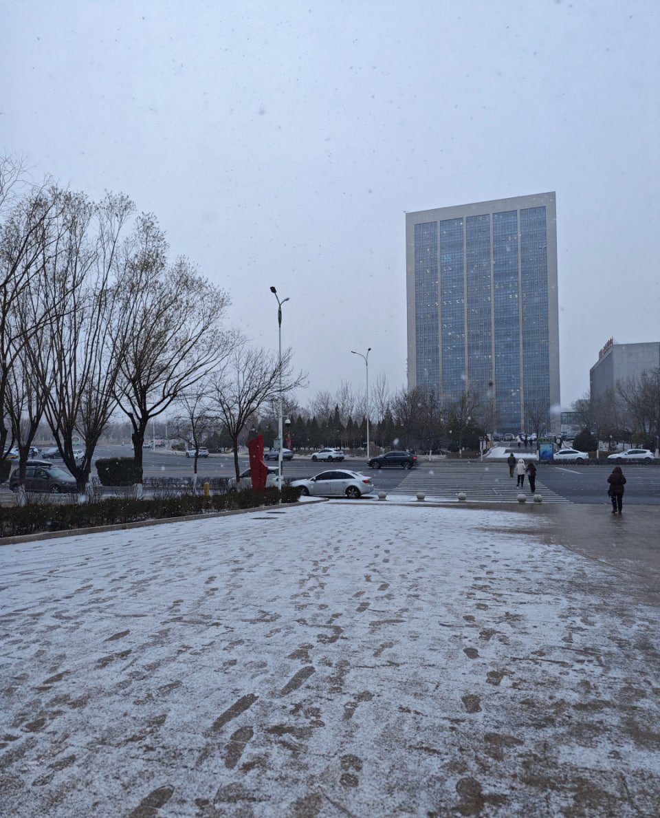 Violet___waves's tweet image. Silent streets blanketed by snow 🌨🛣