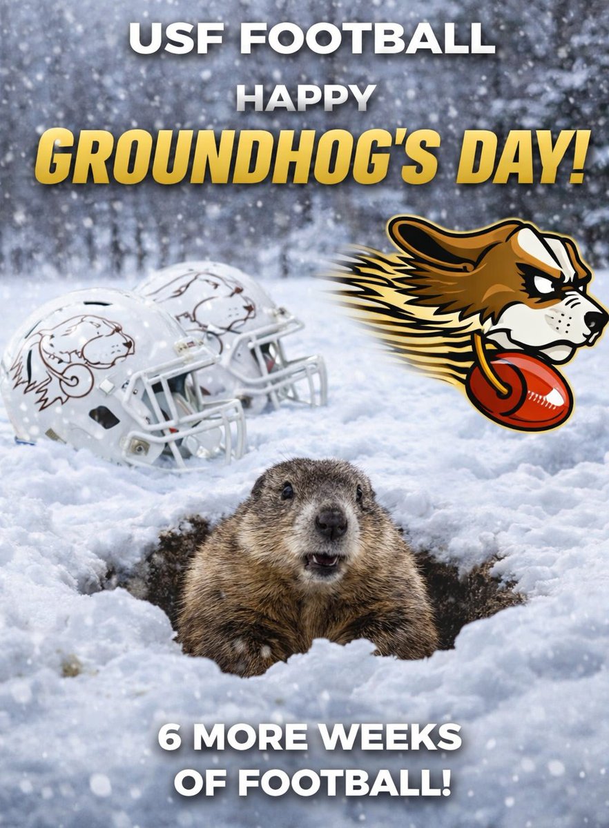 Fighting Saints Football tweet media