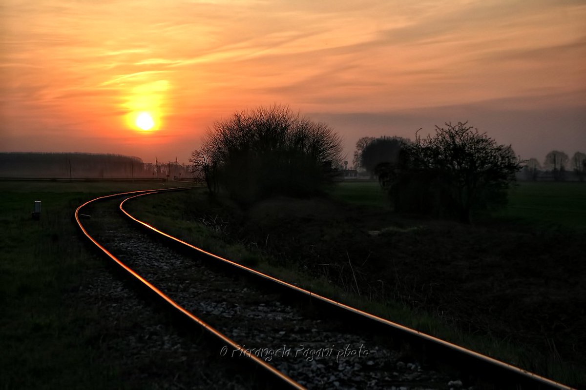 @ferrarisergio4 tweet media