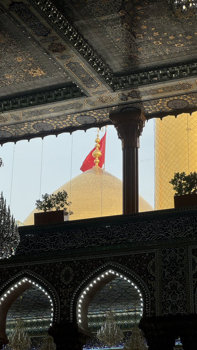 قَصَائِد ولائِية tweet media