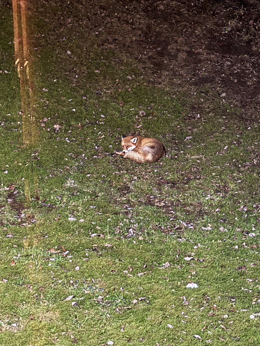 MartynHolland tweet media