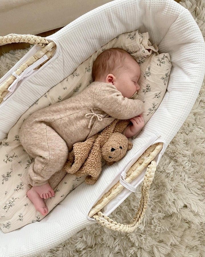 Cuddleecute's tweet photo. https://t.co/xoR2wuLzfX