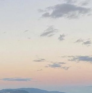 cusca_c's tweet image. 速さが美しい 🐗