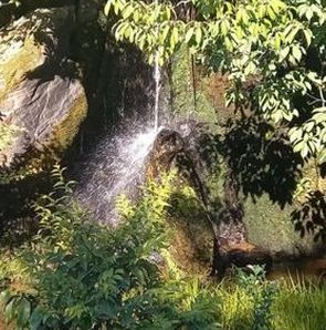 ZBlueMagicZ's tweet image. 濃い夢 🐫