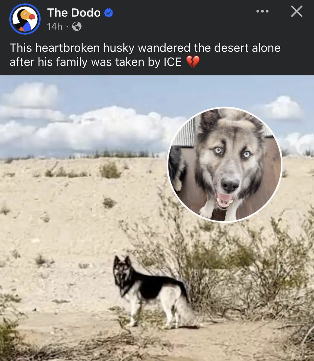 The Redheaded libertarian tweet media