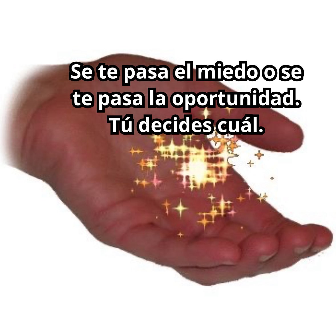 conoloracigarro's tweet photo. https://t.co/6lLl6Uve0b
