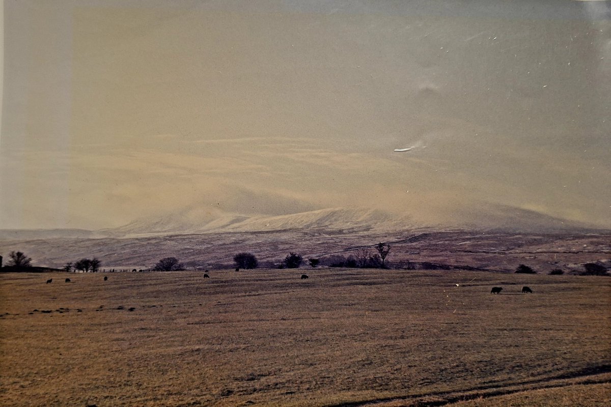 James Wright tweet media