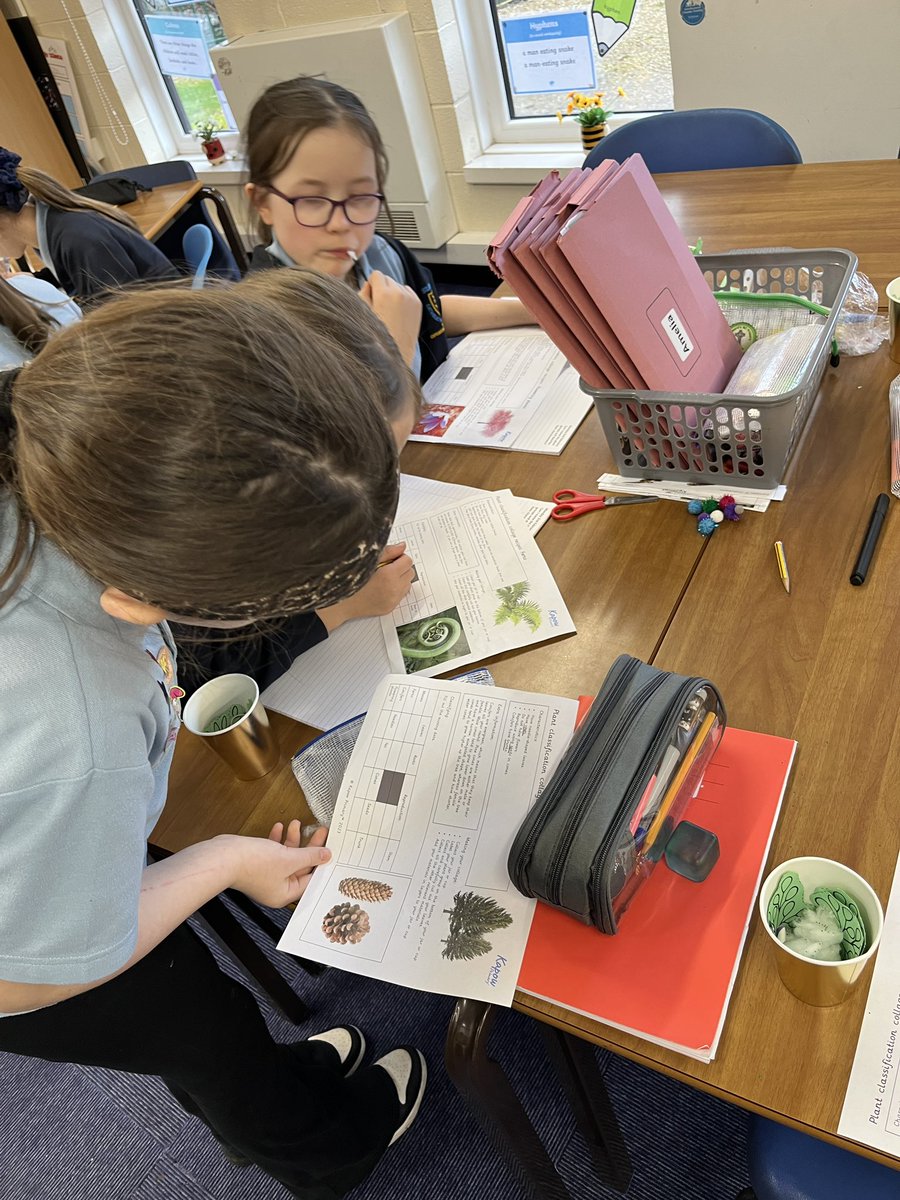 St Edwards Class 4 tweet media