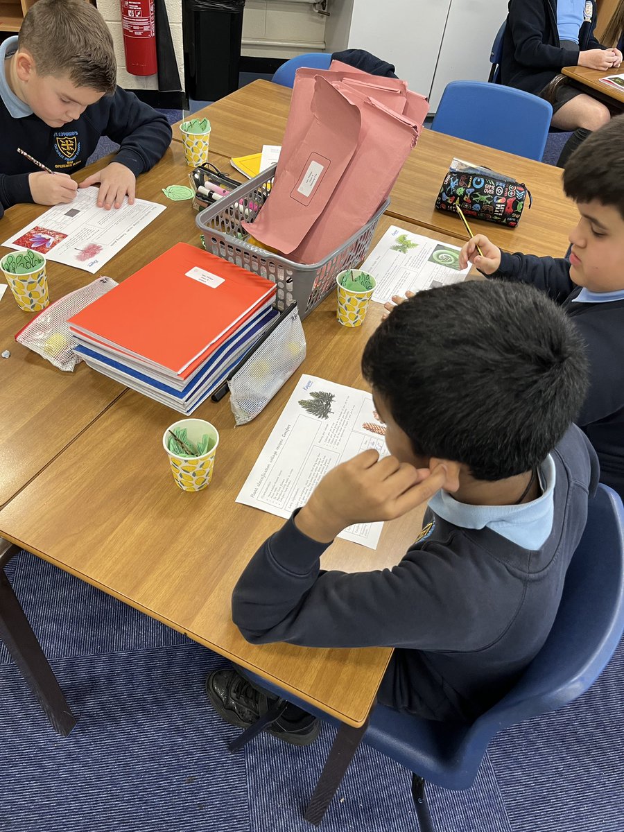 St Edwards Class 4 tweet media