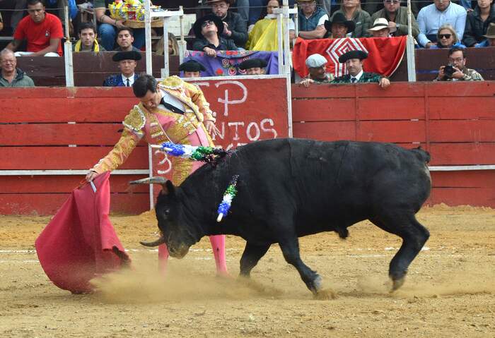 2ª de Lenguazaque: Apoteosis y Vida en Santa Bárbara voyalostoros.com/2026/02/02/2a-… vía @Voy a Los Toros