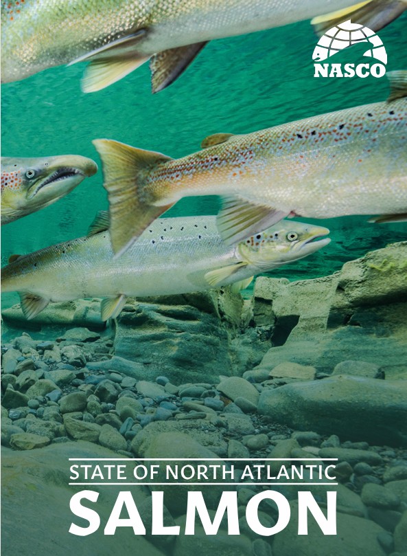 North Atlantic Salmon Conservation Organization tweet media