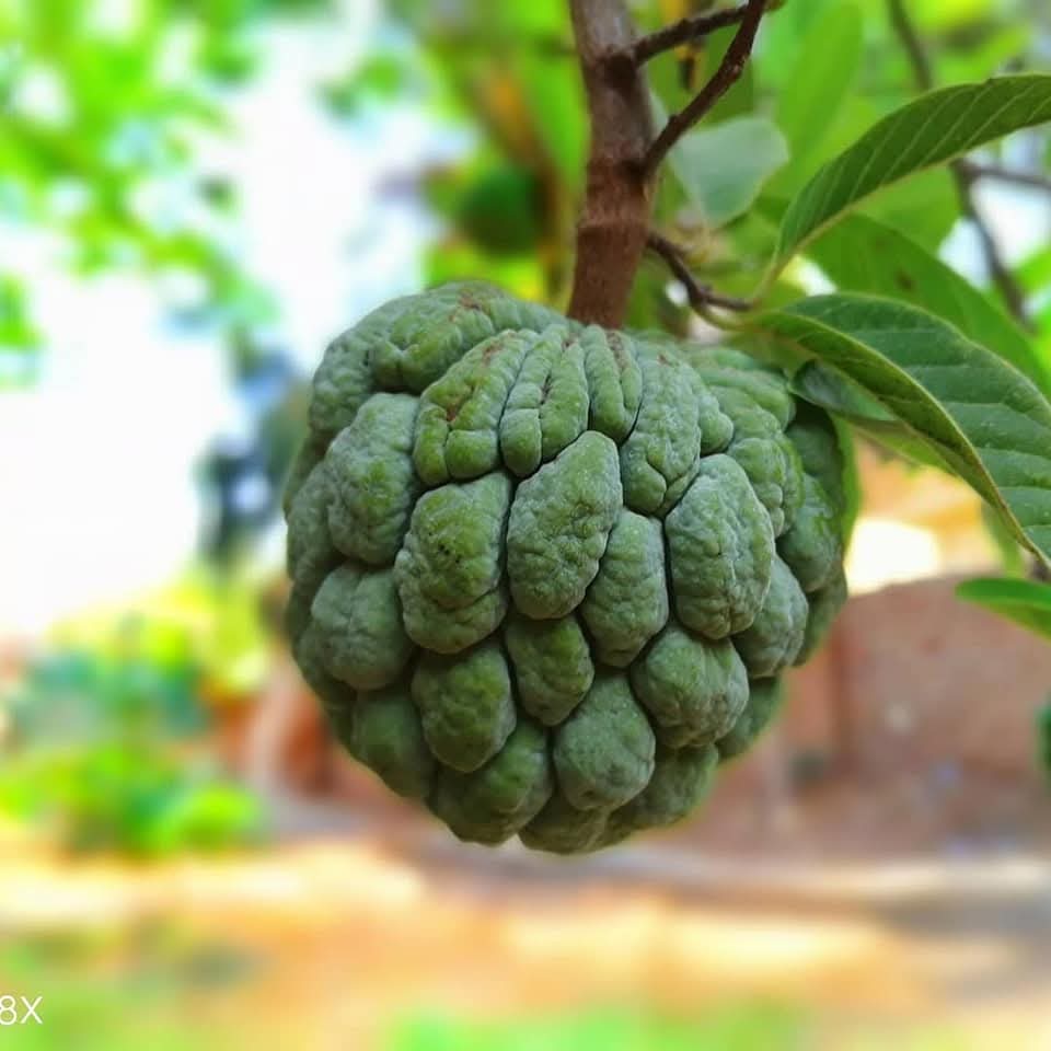 فوتغرافي📸 tweet media