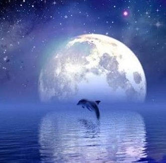 write_it_off's tweet image. 趣味は硬いです 🤓