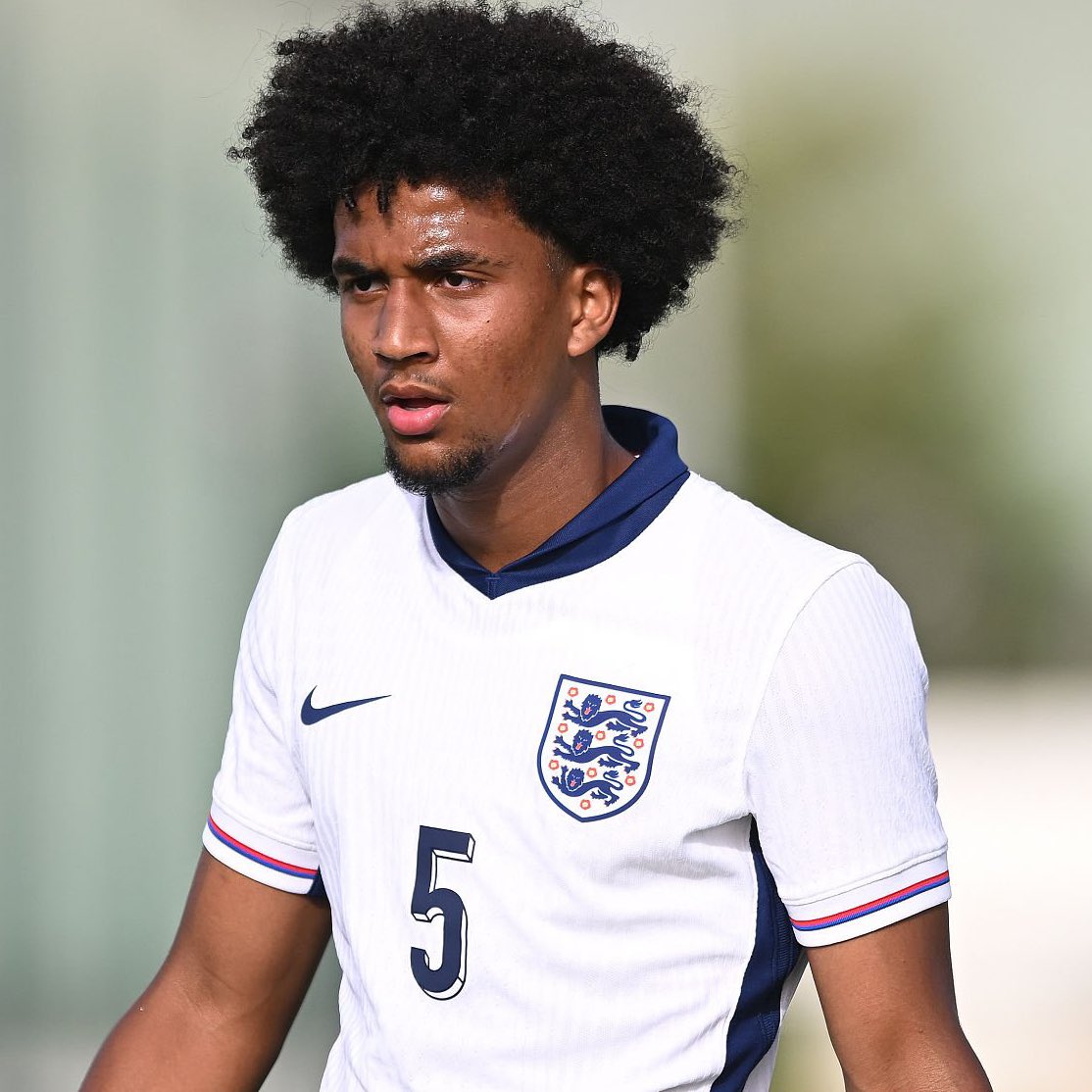 DailyAFC tweet media