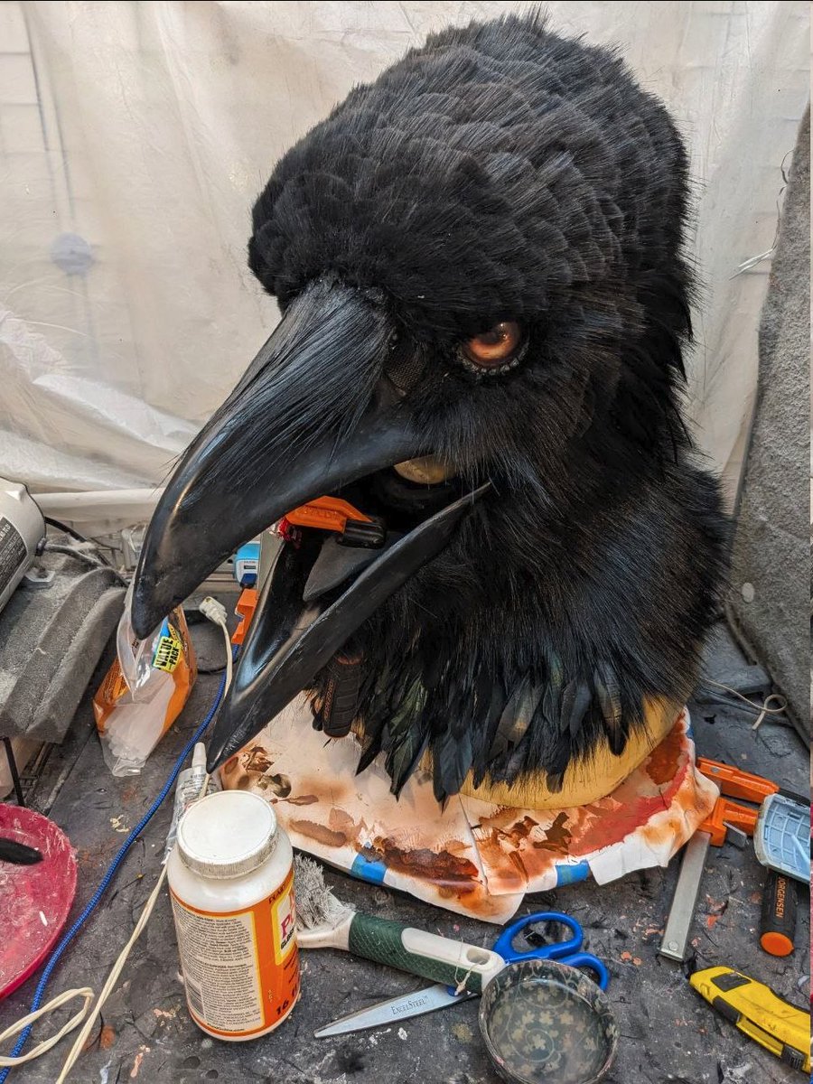 Motley Crow Masks tweet media