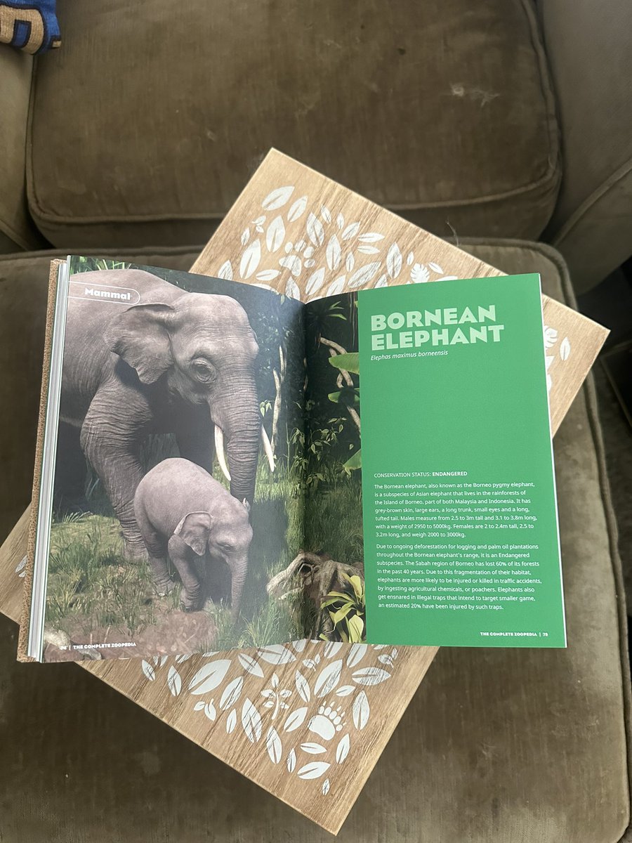 Thank you so much to the CMs and the whole team at <a href="/frontierdev/">Frontier</a> &amp; <a href="/PlanetZooGame/">Planet Zoo</a> for this incredible gift to celebrate Planet Zoos 6th Year Anniversary! 😍 I am very exited for the sequel! 🎉