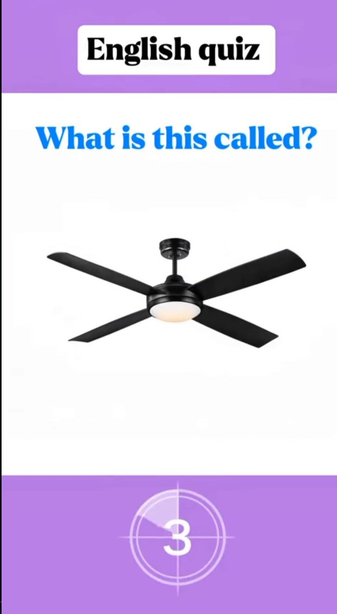 What is this called in English?
