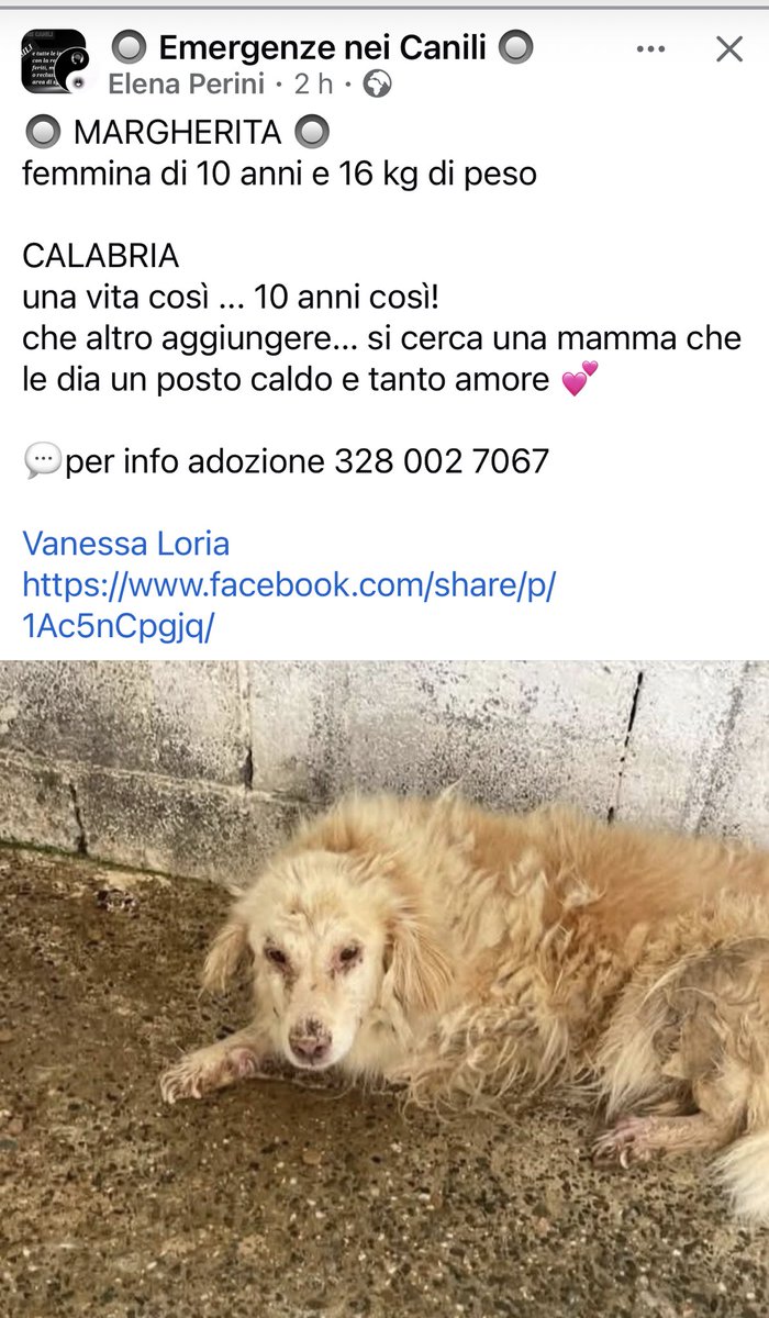 Paola B. (@bsorato) on Twitter photo 