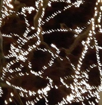 Else01's tweet image. 料理で立つ 🧕