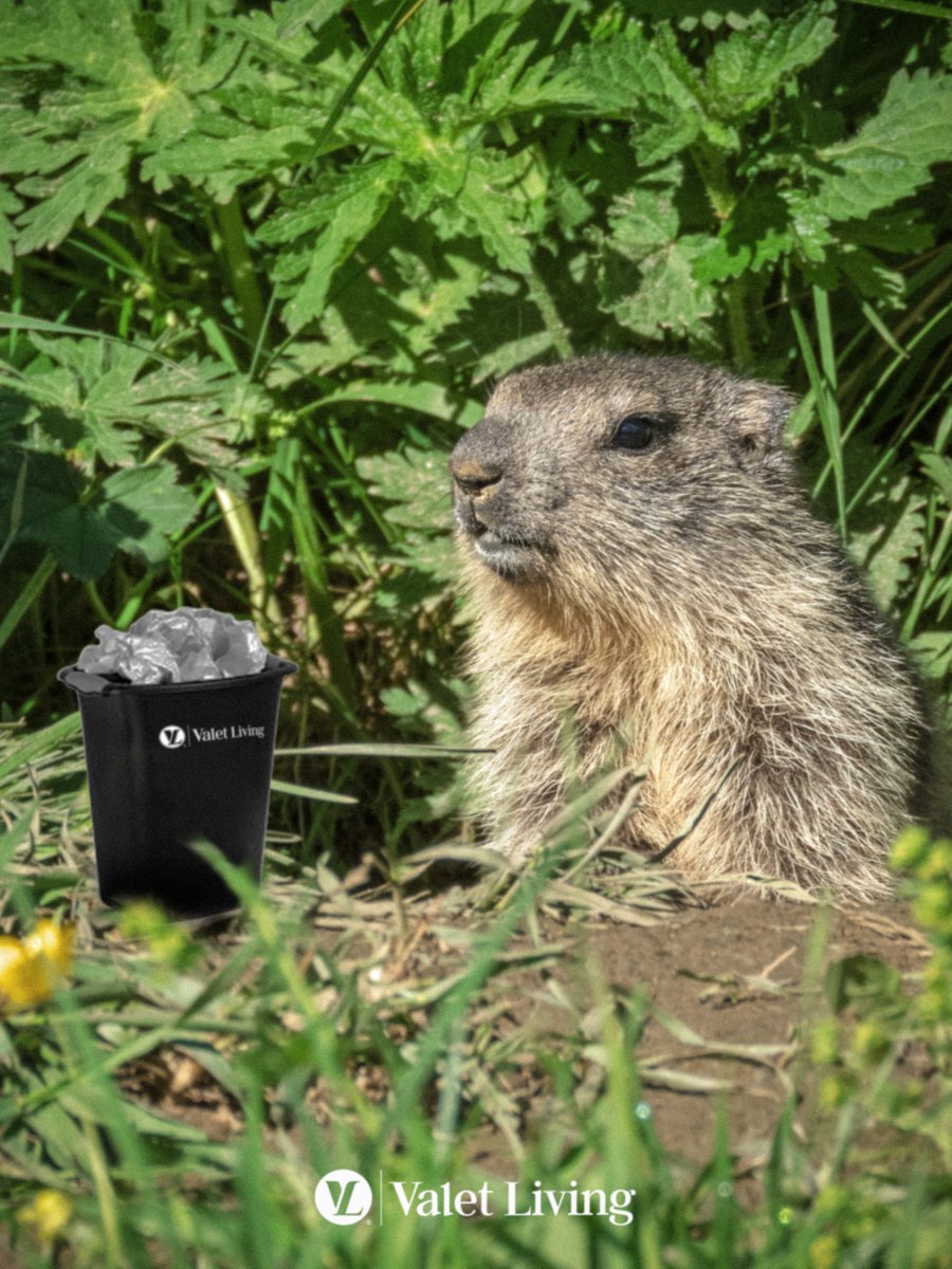 Valet Living tweet media