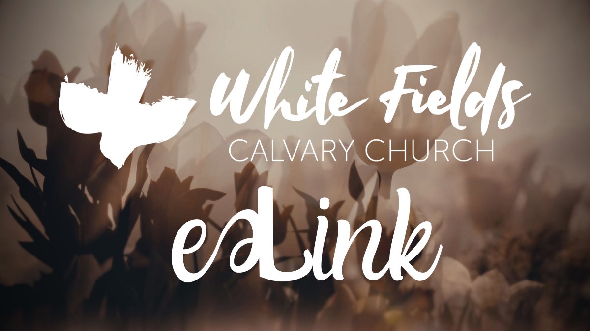WFCCAirdrie's tweet photo. White Fields Calvary Church February e-LINK - https://t.co/0IyBVh92eU https://t.co/LveUsVAxbf